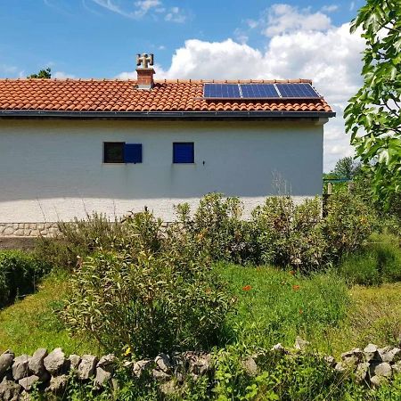 Вилла Ecohouse Oliveglia Сило Экстерьер фото
