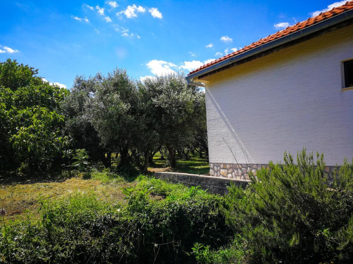 Вилла Ecohouse Oliveglia Сило Экстерьер фото