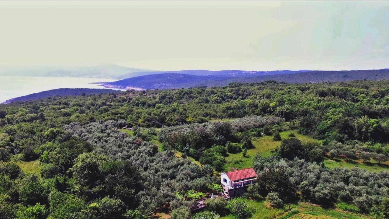 Вилла Ecohouse Oliveglia Сило Экстерьер фото